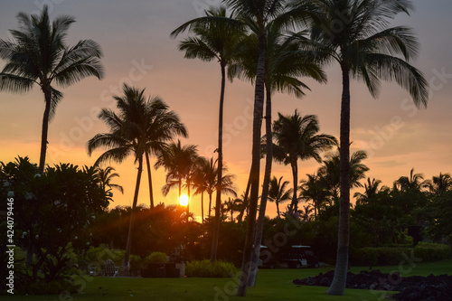 ハワイ島の夕暮れ © C.Y.やまざきちよこ