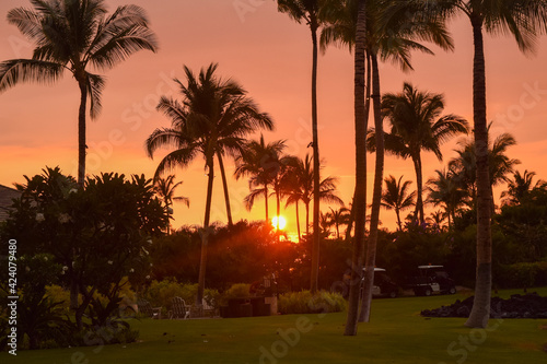 ハワイ島の夕暮れ © C.Y.やまざきちよこ