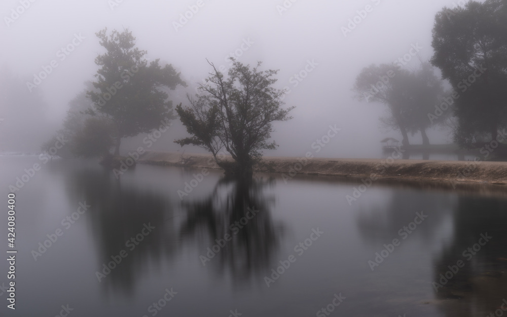 fog on the river