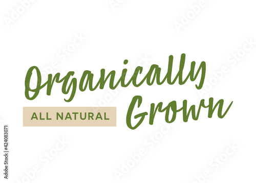 Organically Grown, All-Natural Text, Natural Foods Store Sign, Local Farmer's Market, Farmer's Market Banner, Vector Illustration Background