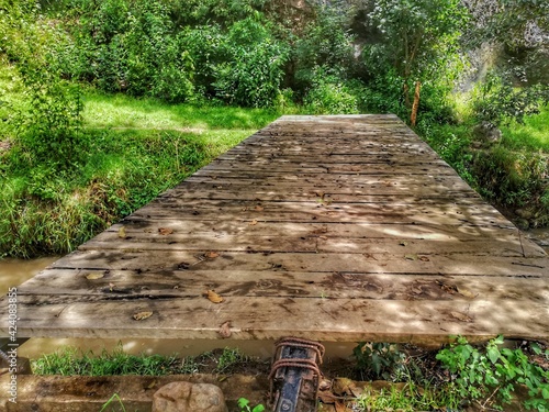 Puente en la naturaleza