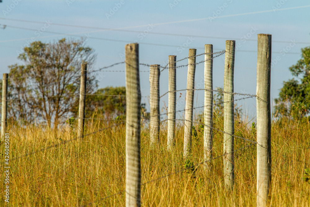 Obraz premium wooden fence by the road