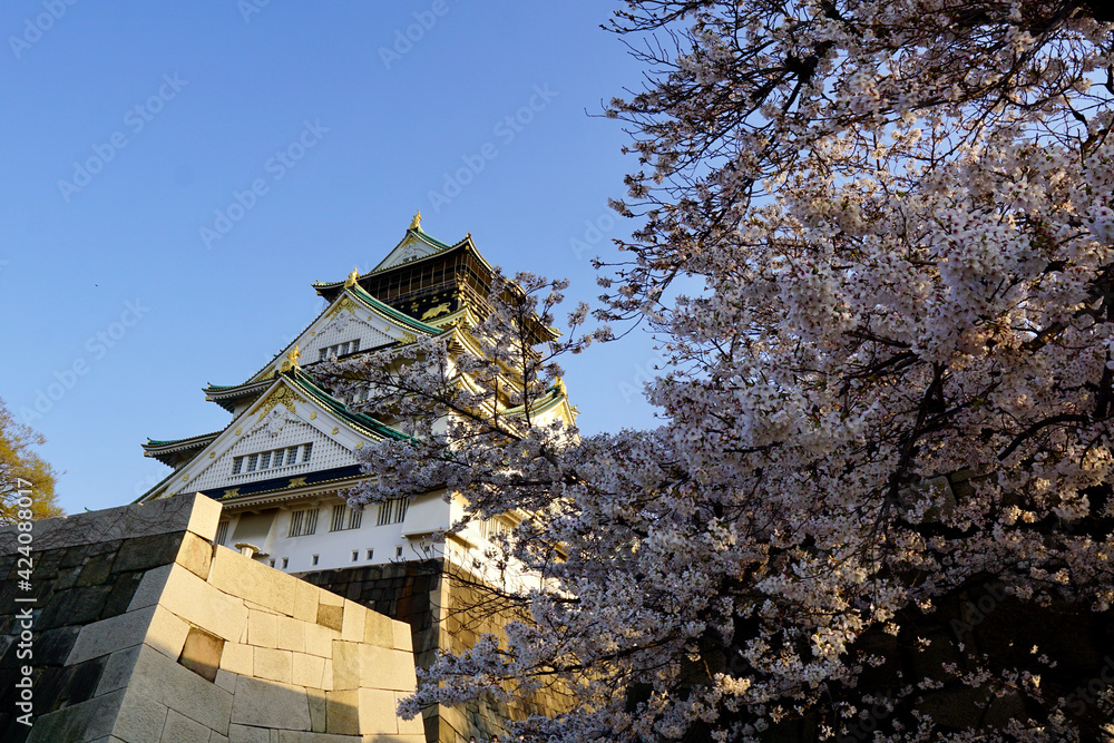 桜の大阪城