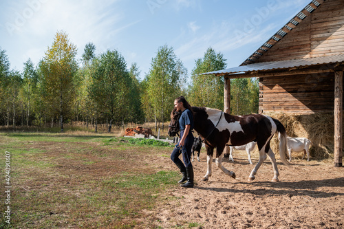 A young girl leads a beautiful horse out of the stable on a farm on a sunny day