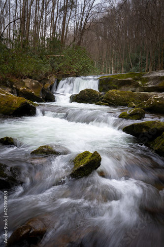 lynn prong cascades with mossy rocks in the spring