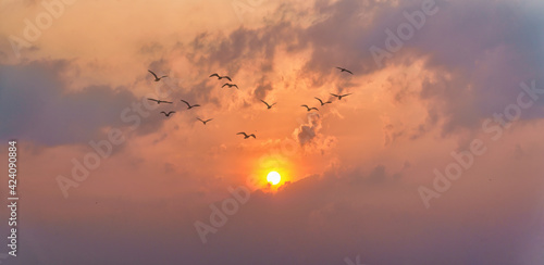 panoramic natural sky background of sun rising over gloden cloudy sky
