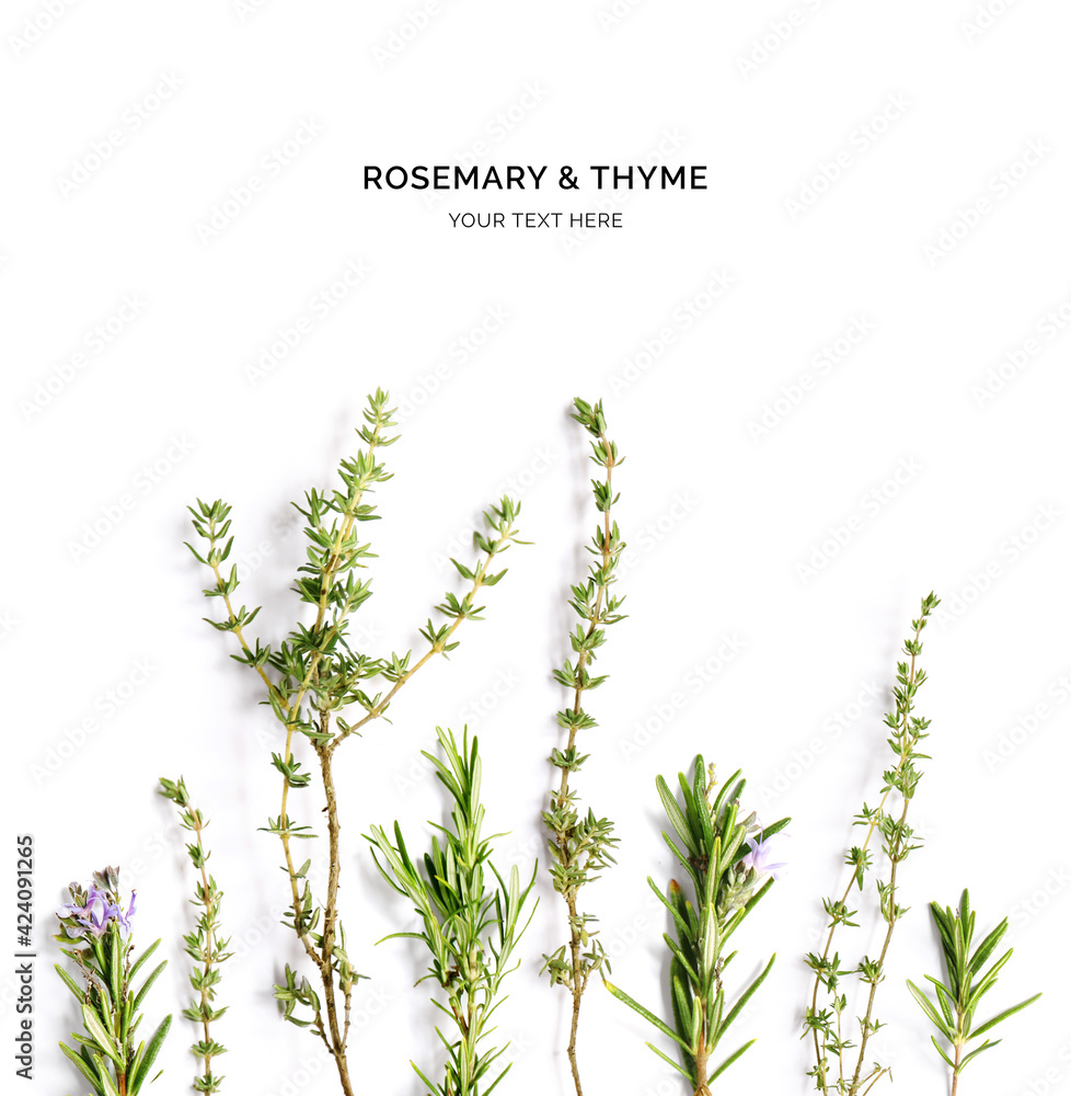 Creative layout made of rosemary and thyme. Flat lay. Food concept. Vegetables isolated on white background. Creative layout made of rosemary and thyme. Flat lay. Food concept. Vegetables isolated on white background.