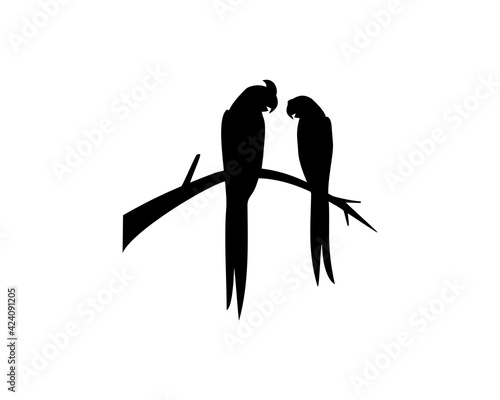 silhouette of couple parrot