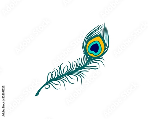 peacock feather color vector illustration