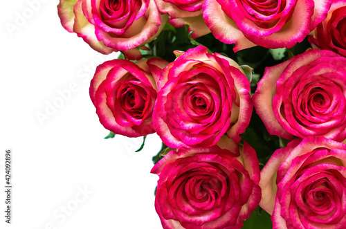 Colorful bouquet of roses on white background for Mother day and Valentine s day concept.