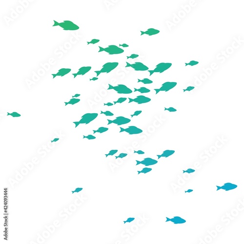 Fish background