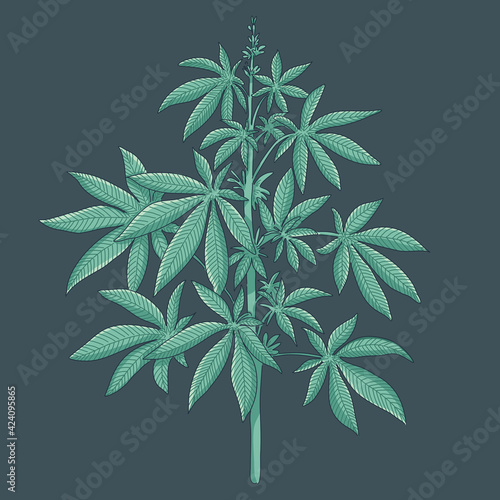 Cannabis tree illustration 