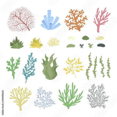 Collection of seaweeds and corals. Underwater nature. Flat design, vector illustration