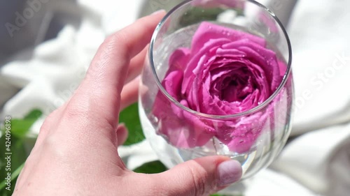 Wine glass filled with pink flower petalson on white silk fabric. Minimal modern still life. Holiday concept Valentines or womans day background design. Creative summer idea. photo