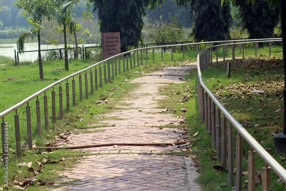 path in the park