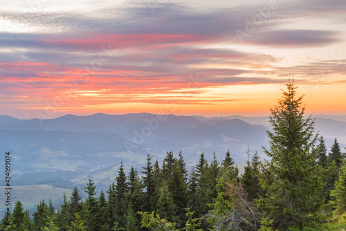 Fototapeta Naklejka Na Ścianę i Meble -  Very beautiful dawn in the Ukrainian Carpathian mountains in summer.