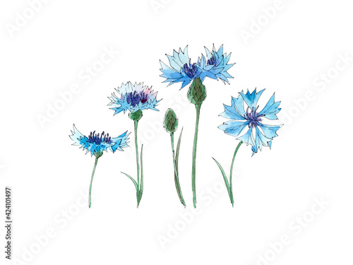 Wallpaper Mural Watercolour drawing. Torontodigital.ca