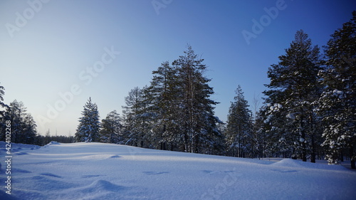 winter landscape with snow covered trees © Роман Иванович