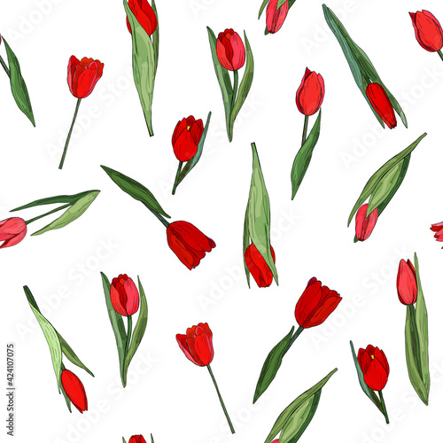 Red tulip. Seamless vector pattern of hand drawn botanical elements. Isolated buds and leaves on a white background. Latin name Tulipa. Design for card  fabric  paper.