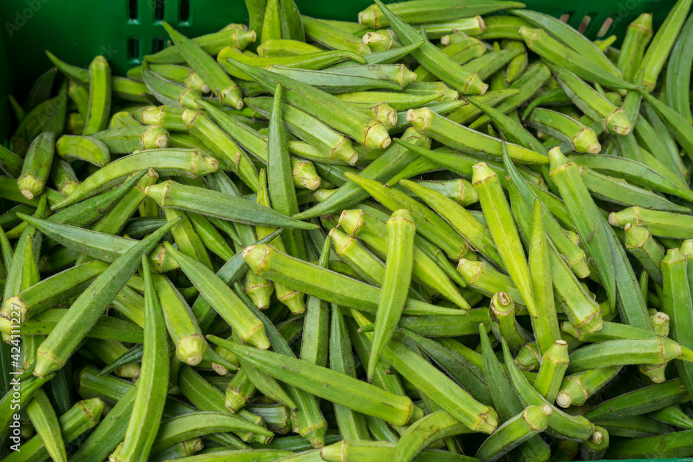 Whole raw green okra vegetable food background
Whole raw green okra vegetable food background