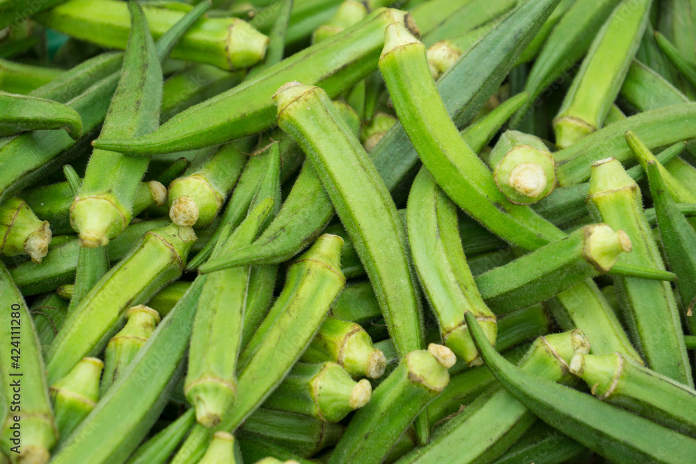 Whole raw green okra vegetable food background
Whole raw green okra vegetable food background