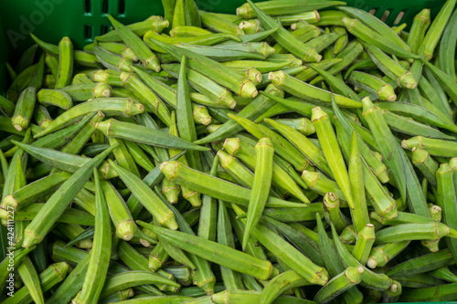 
Whole raw green okra vegetable food background