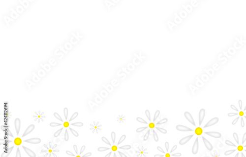 beautiful illustration of daisies on a white background