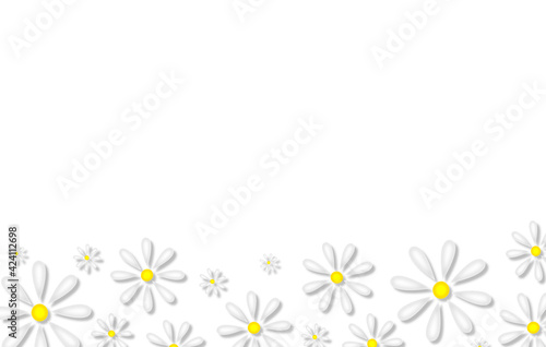beautiful illustration of daisies on a white background