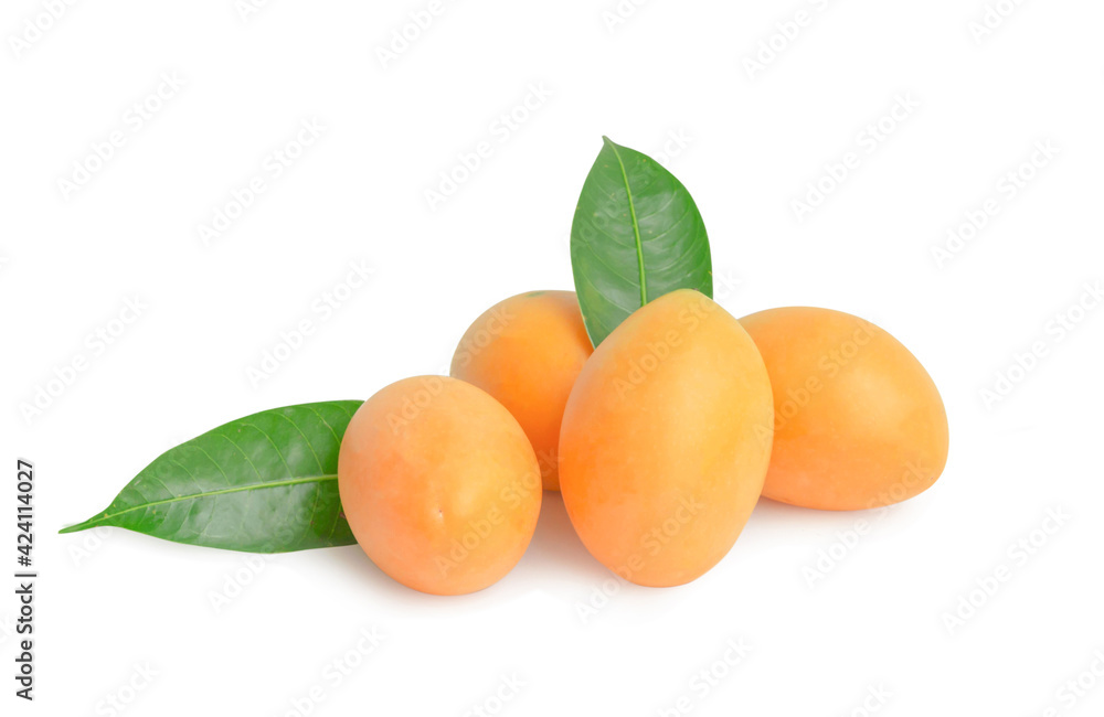 maprang fruit , marian plum, or plum mango isolated on white background. maprang fruit , marian plum, or plum mango isolated on white background.