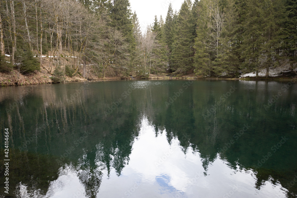 Obraz premium Wunderschöner Waldsee auf einer Lichtung im wald mit Spiegelung der Bäume