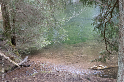 Wunderschöner Waldsee auf einer Lichtung im wald mit Spiegelung der Bäume