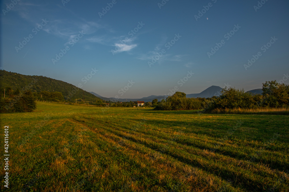 Obraz premium landscape on the field