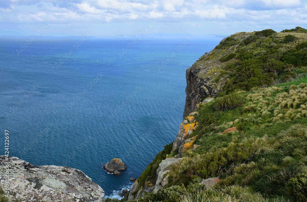 striking  view of cliffs and the bass strait from climbing up  the volcanic nut  on a sunny day in stanley, in northern tasmania, australia