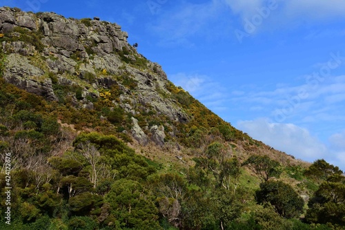 striking view of cliffs and the bass strait from climbing up the volcanic nut on a sunny day in stanley, in northern tasmania, australia