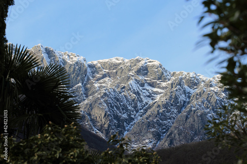 Swiss Alps over Maggiore Lake photo