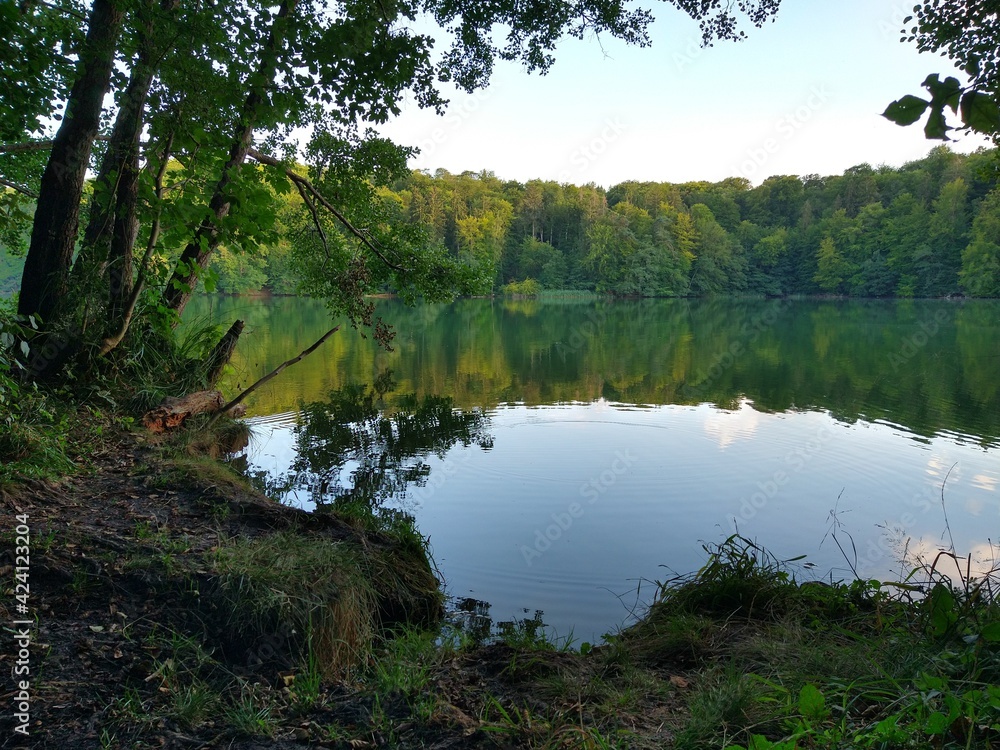 Fototapeta premium See im Wald