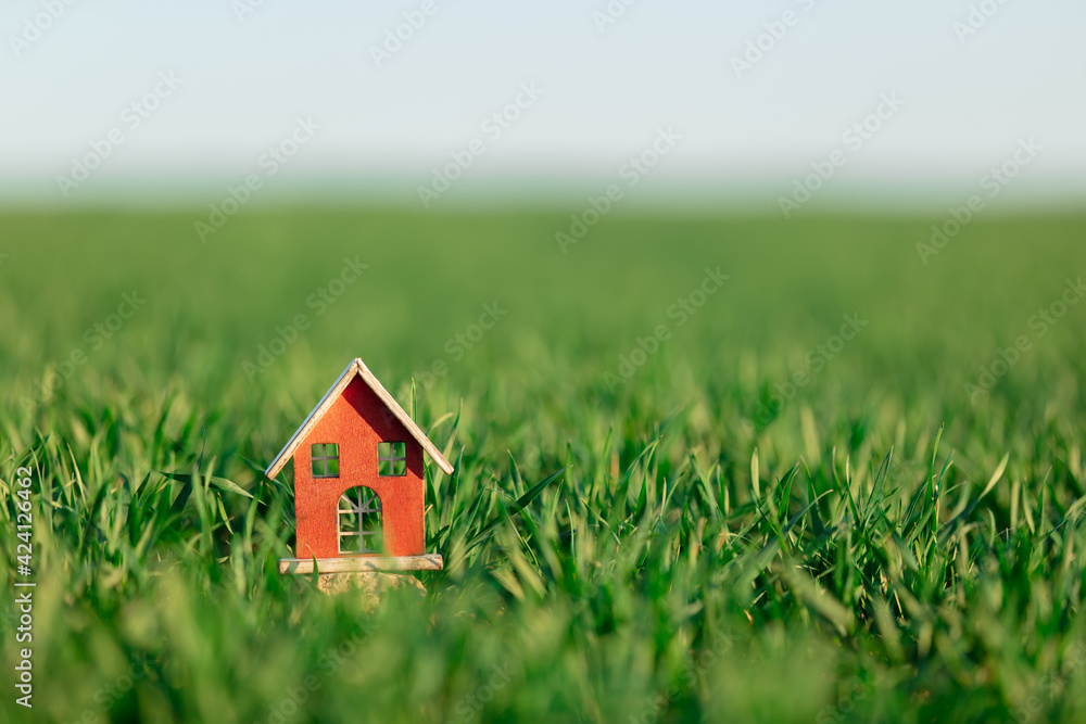 Little woden toy house on green wheat field Little woden toy house on green wheat field