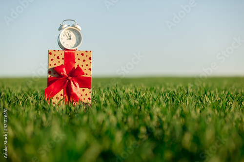 Alarm clock on gift box in green wheat field photo