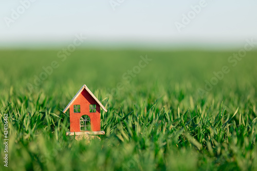 Little woden toy house on green wheat field