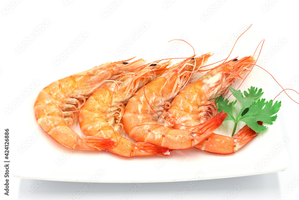 Fresh shrimp isolated on white background seafood tiger prawn Fresh shrimp isolated on white background seafood tiger prawn