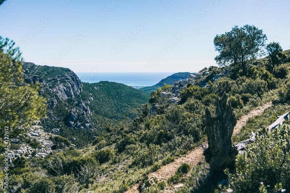Obraz premium view from the top of a mountain in catalonia.