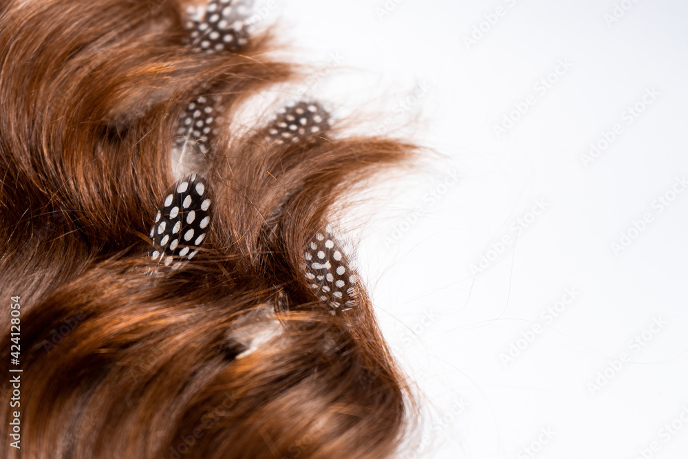 Naklejka premium Multicolored feathers are woven into dark brown hair on a white background