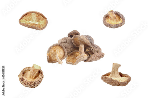 Dry Shiitake mushrooms isolated on white background with clipping path