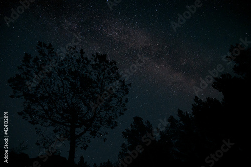 Beautiful night sky with Milky way. Landscape with stars.