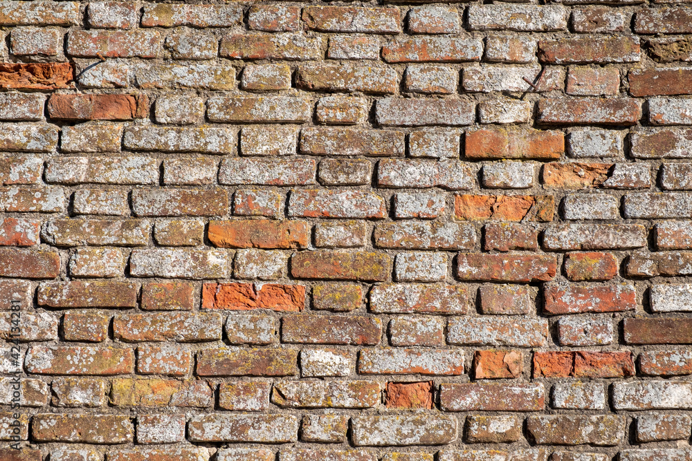 Obraz premium Old red brick wall in natural light.