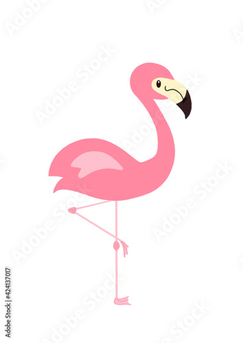 Hand drawn cute pink flamingo illustration.