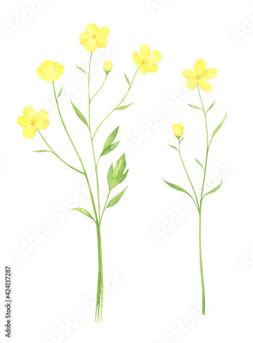 Watercolor Buttercup Set