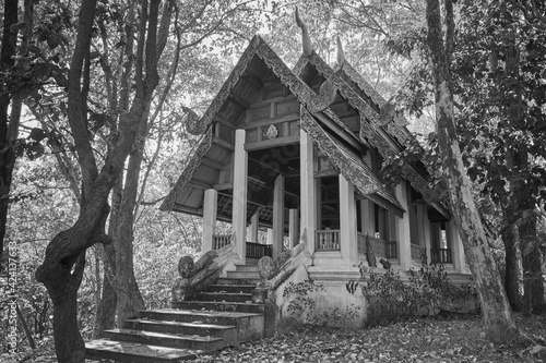 Phayao, Thailand - Dec 13, 2020: Black and White Sangkajai Buddha Sanctuary in Wat Analayo Temple photo