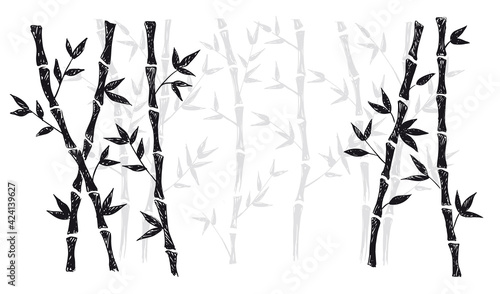 Bamboo tree. Hand drawn style. Vector illustrations. 