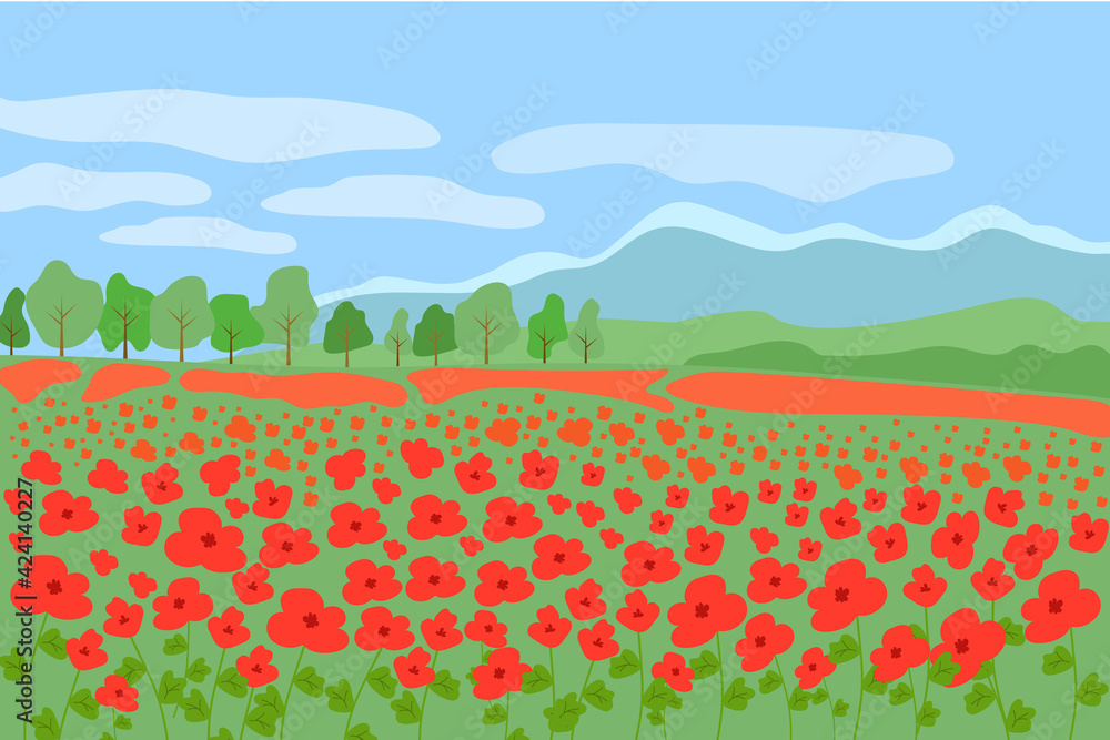 Red poppy flowers field beautiful natural landscape of French Provence, scenery bright background with forest, mountains on a sunny summer day